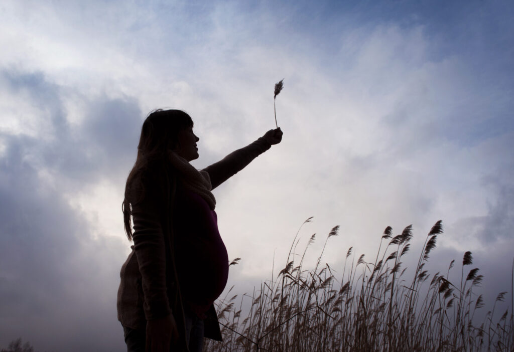 Silhouette outdoor portrait of pregnant woman on meadow